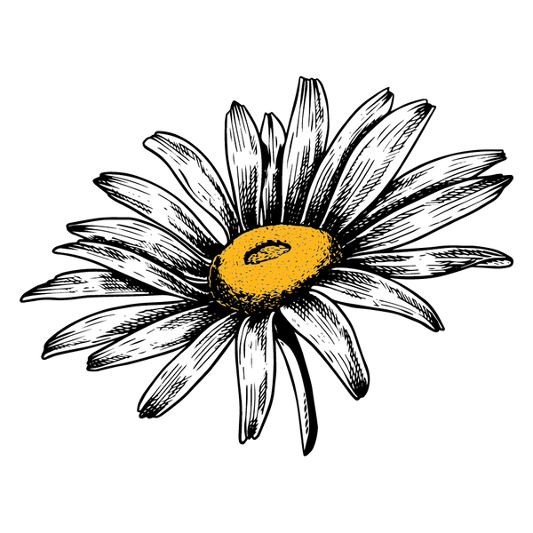 Margarita's Flowers